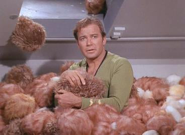 Tribble